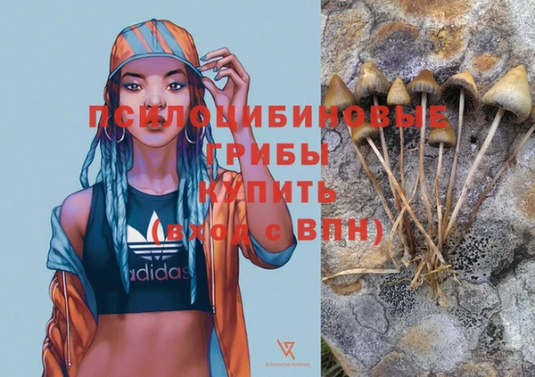 ПСИЛОЦИБИНОВЫЕ ГРИБЫ Нязепетровск